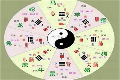 中文字 五行|五行汉字属性查询